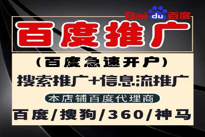 实战解析：SEM网络推广成功案例分享